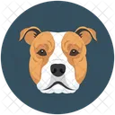 Hund Amerikanischer Bully Rasse Symbol