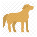 Hund  Symbol