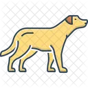 Hund Hundchen Retriever Symbol