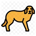 Hund  Symbol