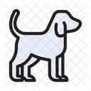 Hund  Symbol