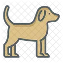 Hund  Symbol