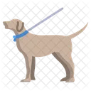 Hund  Symbol