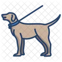 Hund  Symbol