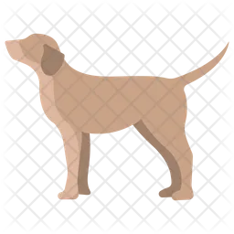 Hund  Symbol