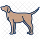 Hund  Symbol