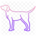 Hund Tier Tierwelt Icon