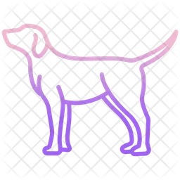 Hund  Symbol