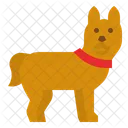 Hund  Symbol