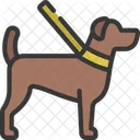 Hund  Symbol