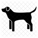 Hund  Symbol