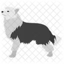 Hunderassen Hundearten Hund Symbol