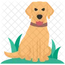 Hund  Symbol
