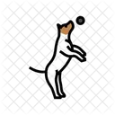 Ball Hund Zucht Symbol