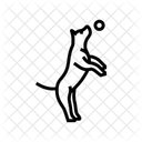 Ball Hund Zucht Symbol
