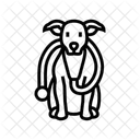 Stethoskop Hund Zucht Symbol