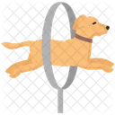 Hund springt  Symbol