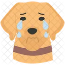 Hund weint  Symbol