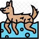 Hydrotherapie für Hunde  Symbol