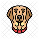 Halsband Hund Zucht Symbol