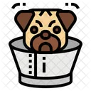 Halsband Hunde Haustier Symbol
