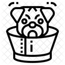 Halsband Hunde Haustier Symbol