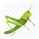 Praying Mantis Icons Cute Mantis Mantodea Icon