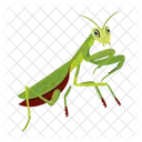 Hunter Mantis  Icon