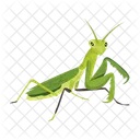 Hunter Mantis  Icon