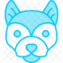 Husky  Icon