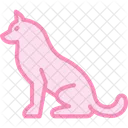 Husky Perro Mascota Icono