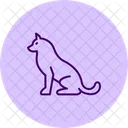 Husky Perro Mascota Icono