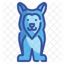 Husky Dog  Icon