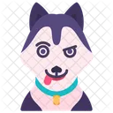 Husky Dog  Icon