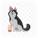 Husky Dog Birthday Icon