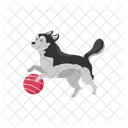 Dog Husky Play Icon