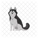 Husky Dog Siberian Icon