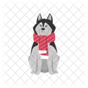 Husky Dog Siberian Icon