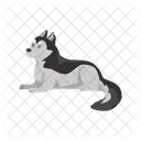 Husky Dog Lying Icon