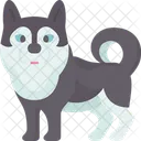 Husky siberiano  Ícone