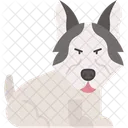 Husky Siberien Chien De Traineau Mammifere Icône
