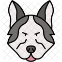 Husky Siberien Chien De Traineau Mammifere Icône
