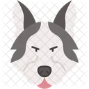 Husky Siberien Chien De Traineau Mammifere Icône