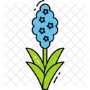 Hyacinth Flower Icon