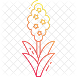Hyacinth  Icon