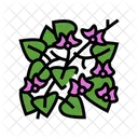 Hyacinth  Icon