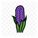 Hyacinth Flower  Icon