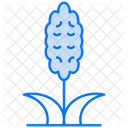 Hyacinth  Icon