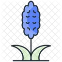 Hyacinth Flower Nature Icon