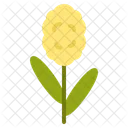 Home Health Botany Icon